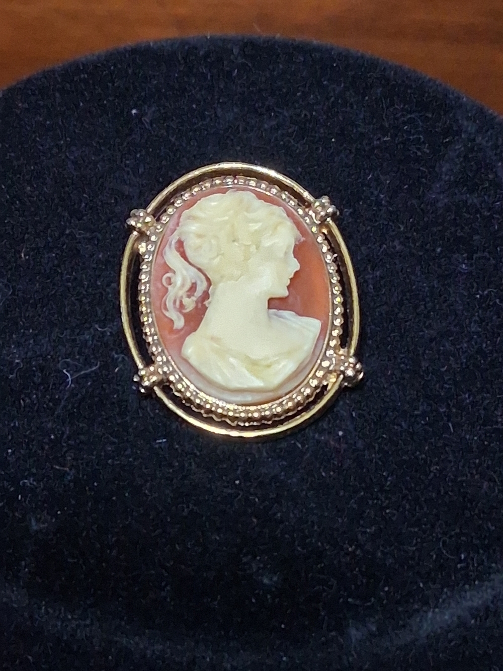 Gold-Tone Cameo Brooch with Cream Profile on Coral Background
